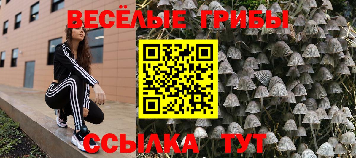 Псилоцибиновые грибы Psilocybine cubensis Наро-Фоминск
